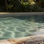 Alcalinité piscine